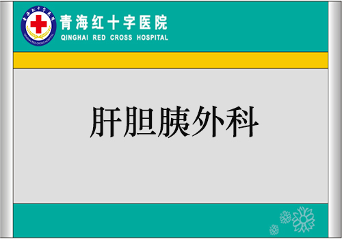 肝膽胰及疝外科